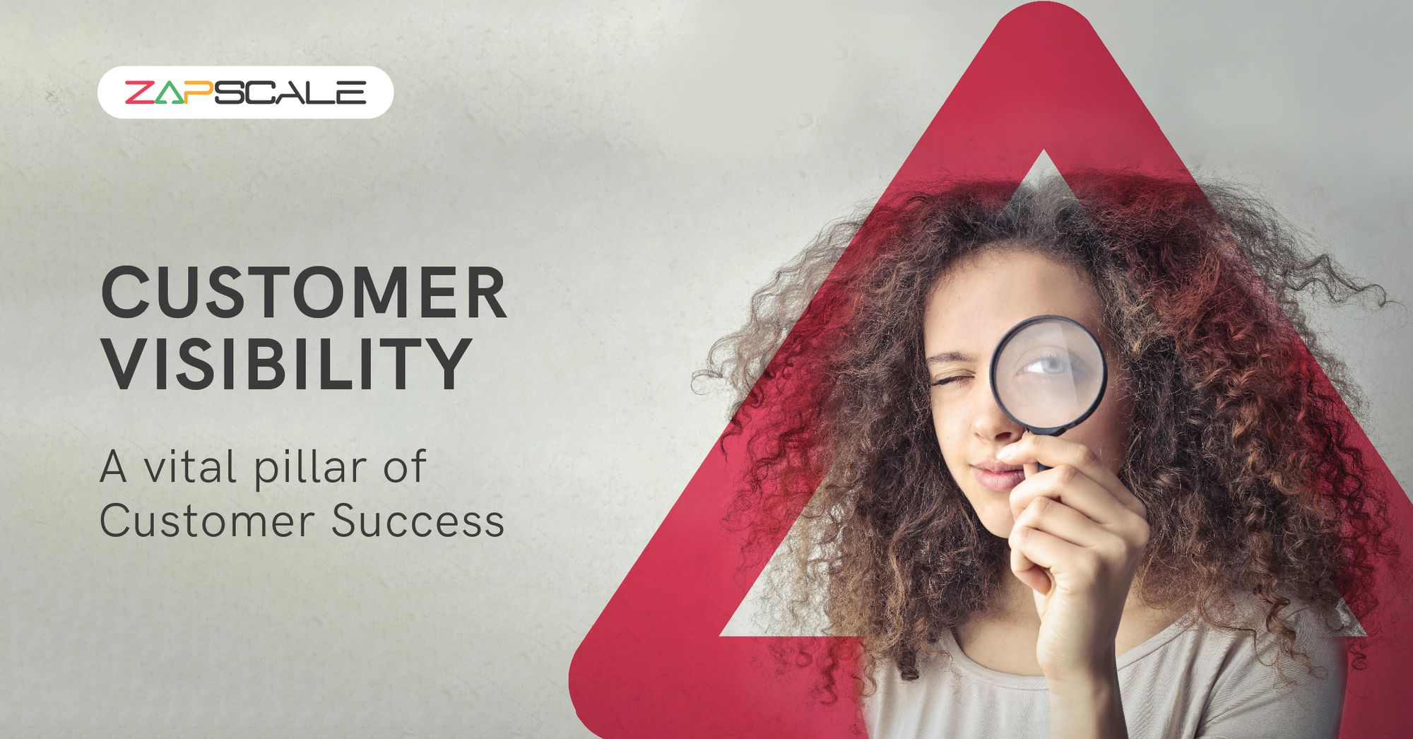 Customer Visibility: A vital pillar for Customer Success