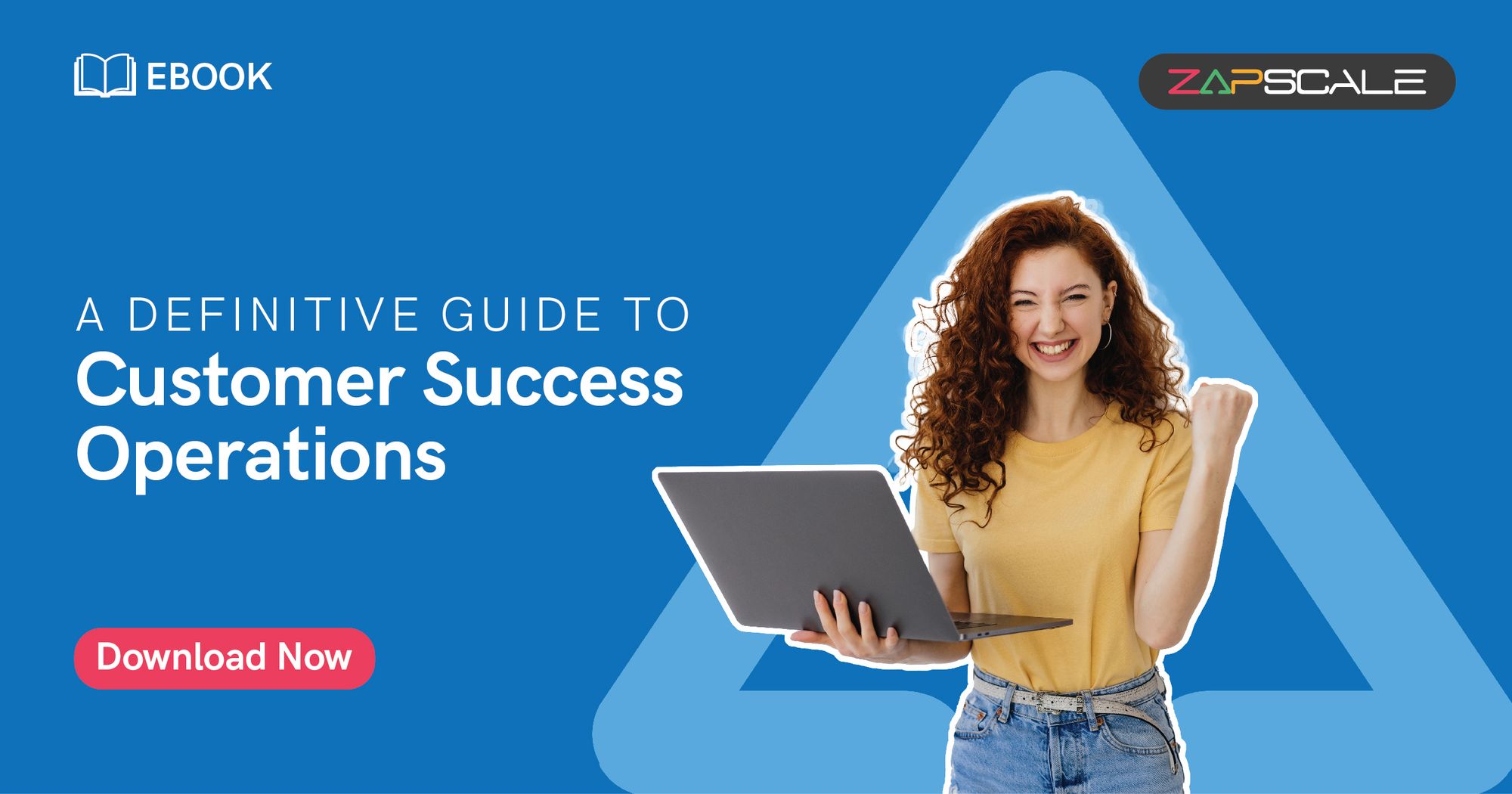 A Definitive Guide To Customer Success Operations