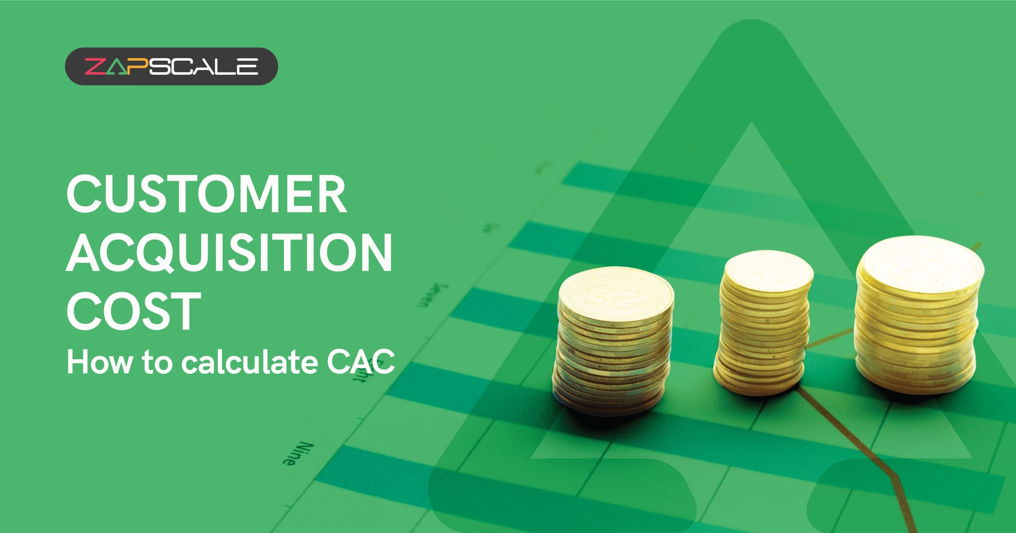 Customer Acquisition Cost: How To Calculate And Optimize Your 
Marketing Budget