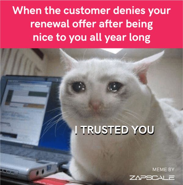 Customer success meme on renewal