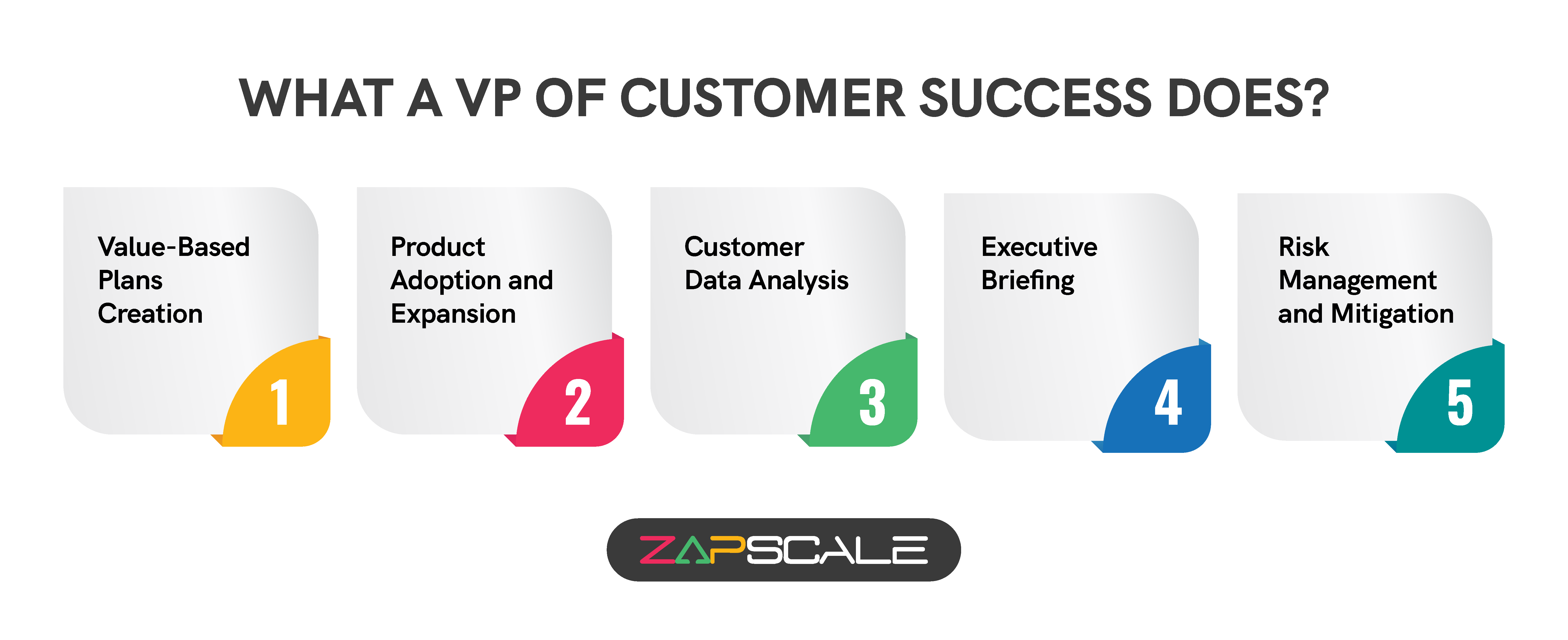 What a VP of customer success does?